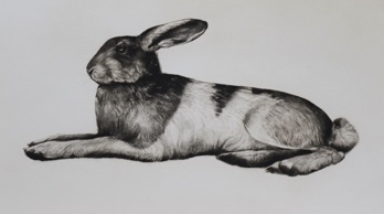 Untitled (Hare)
polymer print 375 x 565 mm edition 40
£240